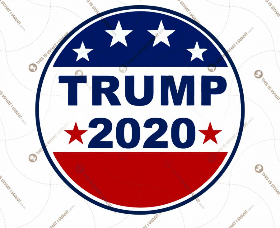 Trump 2020 - American Flag Round