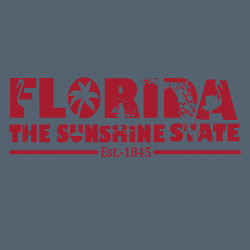 Florida Art T shirt design