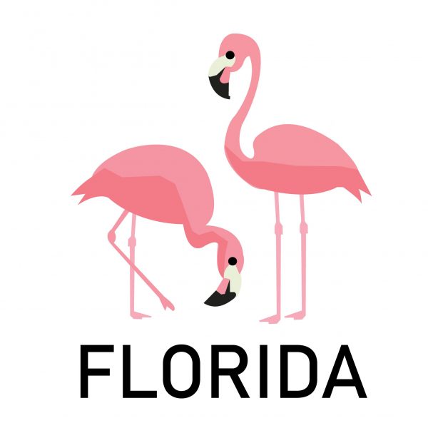 Florida Flemingo design