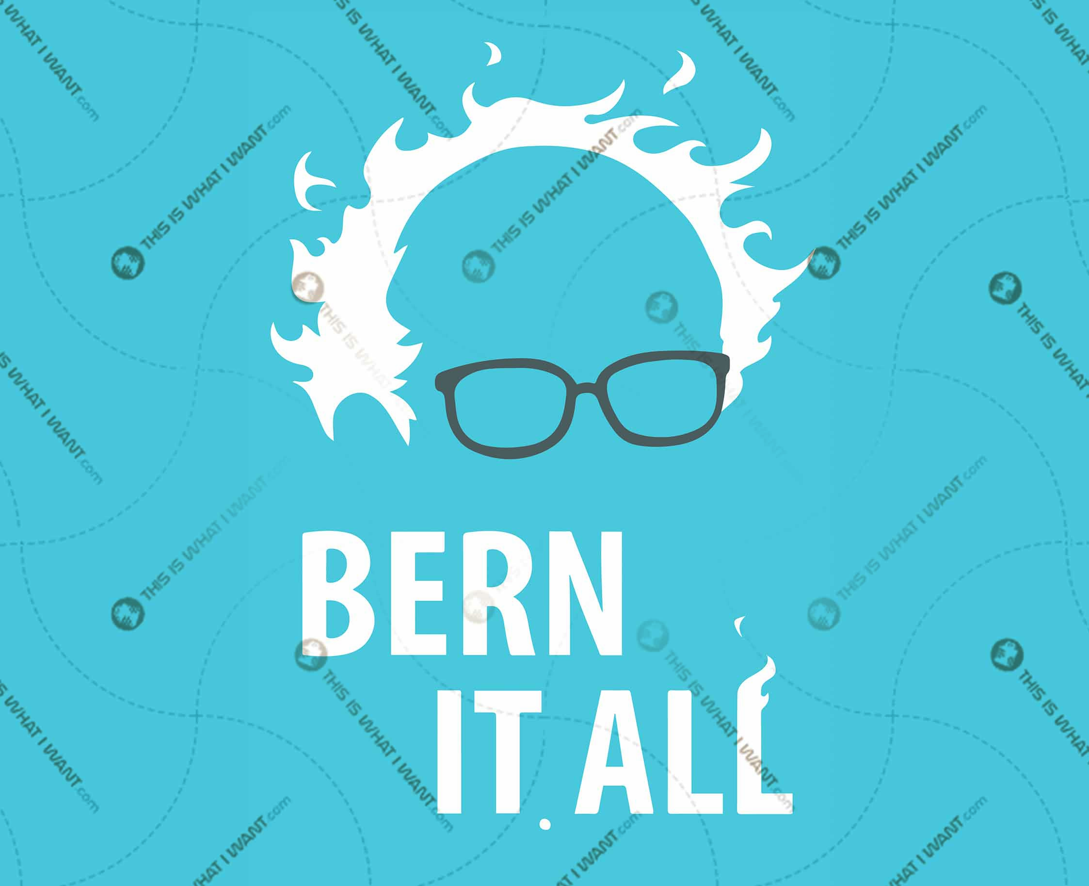 Bern it all - Bernie Sanders for President