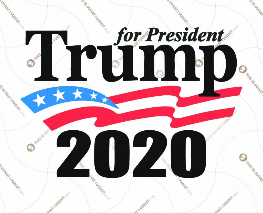 Donald Trump For President 2020 - USA Flag