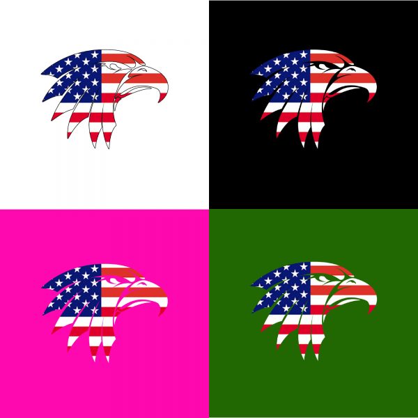 Eagle Head with American Flag