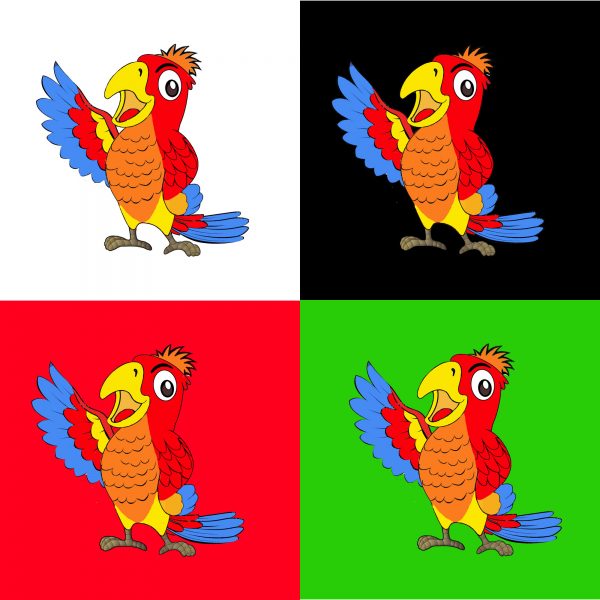 macaw parrot